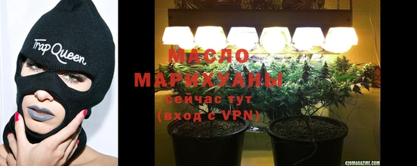 дмт Богданович