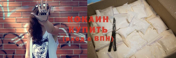 дмт Богданович