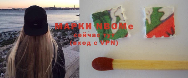 дмт Богданович