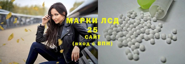 дмт Богданович