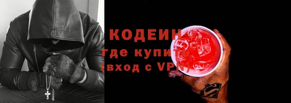 дмт Богданович