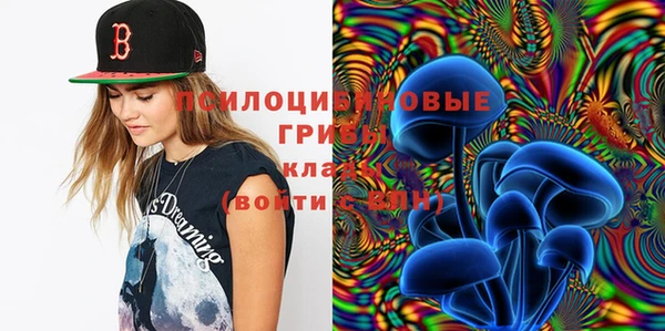jwh Богородицк