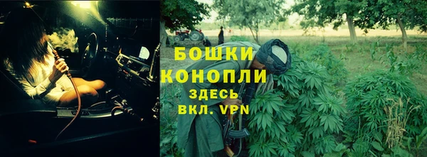 дмт Богданович