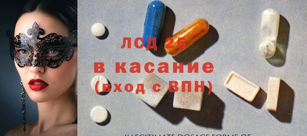 дмт Богданович