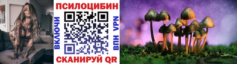 купить наркотики цена  Ковдор  Псилоцибиновые грибы Cubensis 